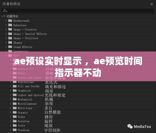 ae预设实时显示 ，ae预览时间指示器不动