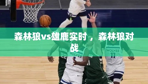 森林狼vs雄鹿实时 ，森林狼对战