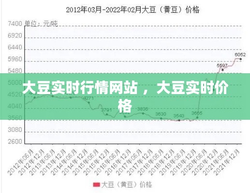 大豆实时行情网站 ，大豆实时价格