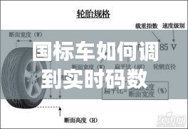 国标车如何调到实时码数 ，国标车太慢能不能调快一点