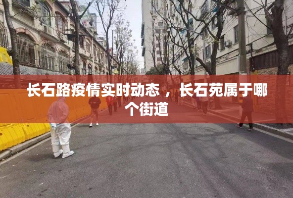 长石路疫情实时动态 ，长石苑属于哪个街道