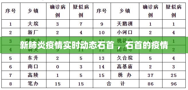 新肺炎疫情实时动态石首 ，石首的疫情