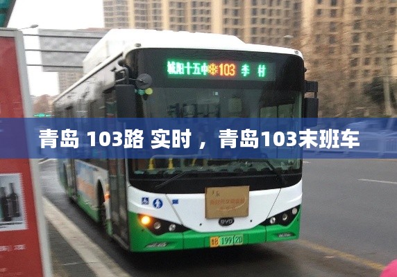 青岛 103路 实时 ，青岛103末班车