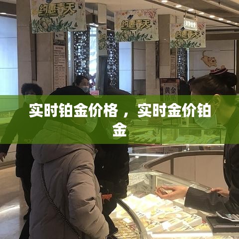 实时铂金价格 ，实时金价铂金