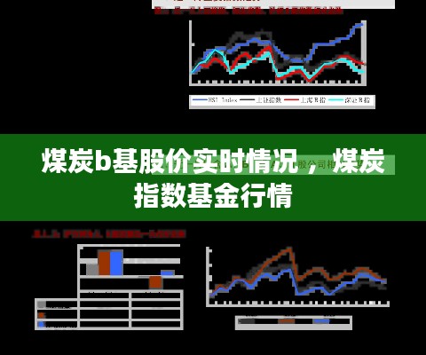 煤炭b基股价实时情况 ，煤炭指数基金行情