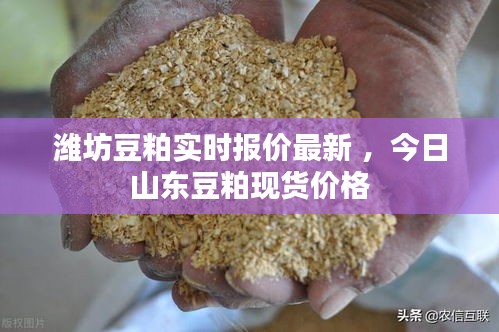 潍坊豆粕实时报价最新 ，今日山东豆粕现货价格