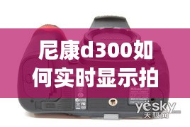 尼康d300如何实时显示拍摄 ，尼康d300有实时取景吗