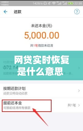 网贷实时恢复是什么意思 ，网贷准时还款会怎么样