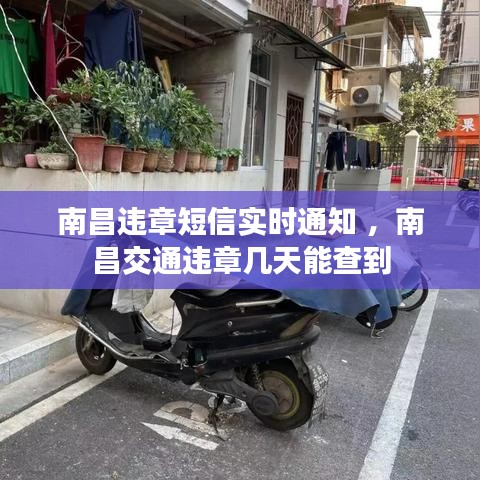 南昌违章短信实时通知 ，南昌交通违章几天能查到