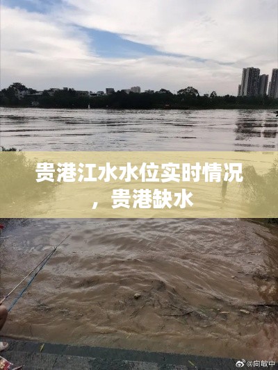 贵港江水水位实时情况 ，贵港缺水