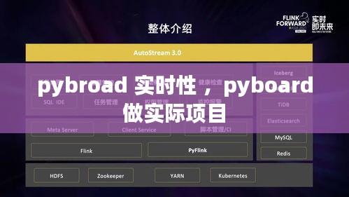 pybroad 实时性 ，pyboard做实际项目