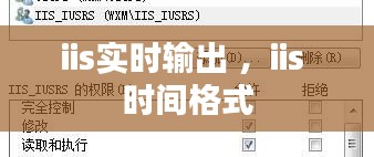 iis实时输出 ，iis 时间格式