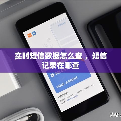 实时短信数据怎么查 ，短信记录在哪查