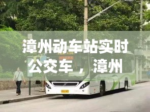 漳州动车站实时公交车 ，漳州动车站的公交