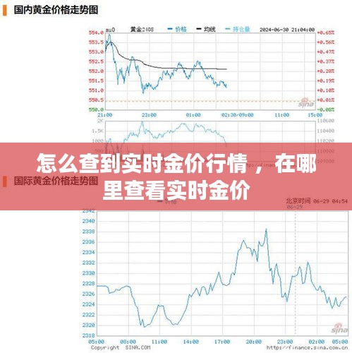 怎么查到实时金价行情 ，在哪里查看实时金价