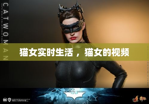 猫女实时生活 ，猫女的视频