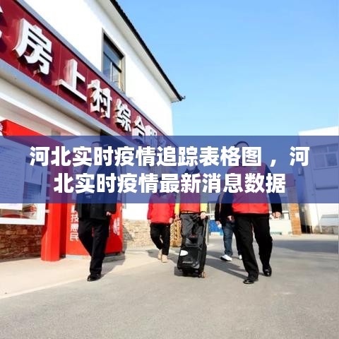 河北实时疫情追踪表格图 ，河北实时疫情最新消息数据