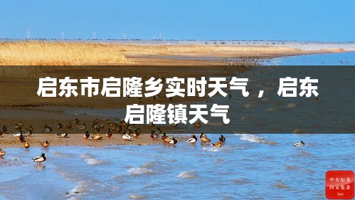 启东市启隆乡实时天气 ，启东启隆镇天气