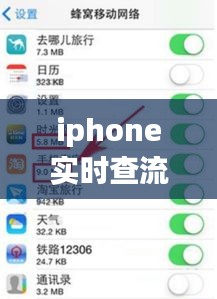 iphone实时查流量 ，苹果查流量使用情况