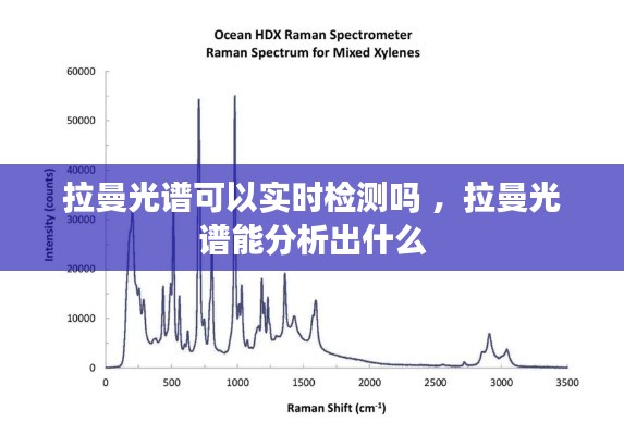 拉曼光谱可以实时检测吗 ，拉曼光谱能分析出什么