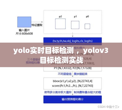 yolo实时目标检测 ，yolov3目标检测实战