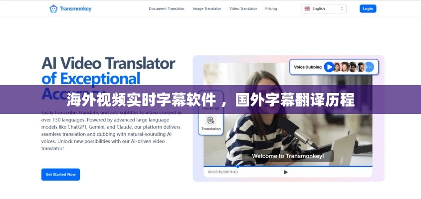 海外视频实时字幕软件 ，国外字幕翻译历程