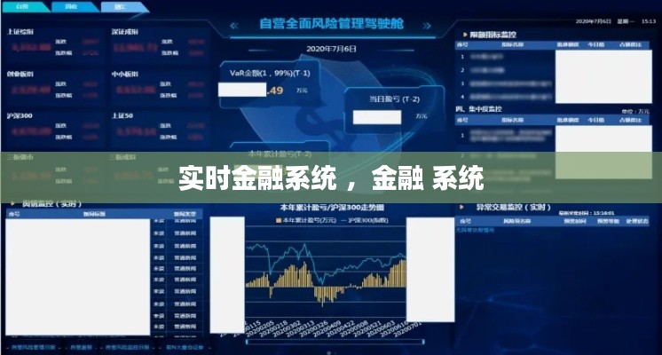实时金融系统 ，金融 系统