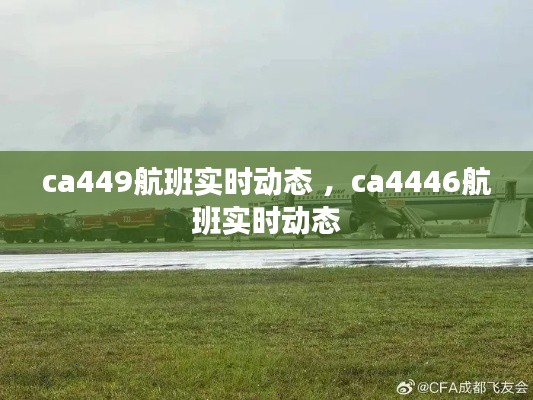 ca449航班实时动态 ，ca4446航班实时动态