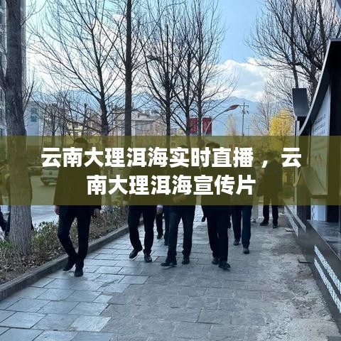 云南大理洱海实时直播 ，云南大理洱海宣传片