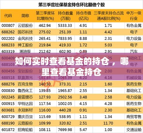 如何实时查看基金的持仓 ，哪里查看基金持仓