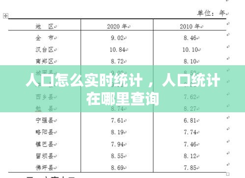 人口怎么实时统计 ，人口统计在哪里查询