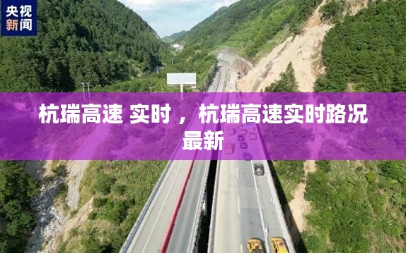 杭瑞高速 实时 ，杭瑞高速实时路况最新