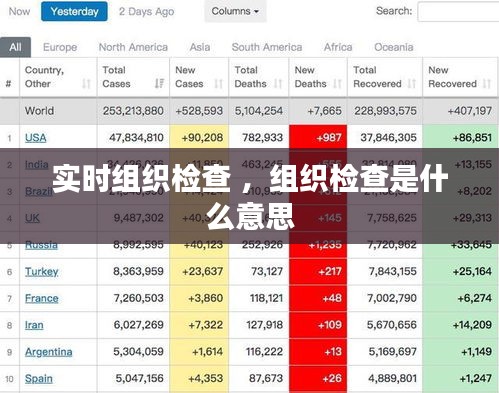 实时组织检查 ，组织检查是什么意思