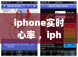 iphone实时心率 ，iphone8心率监测