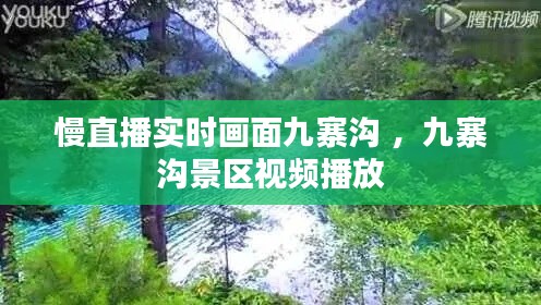 慢直播实时画面九寨沟 ，九寨沟景区视频播放