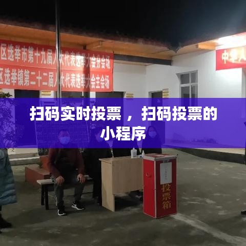 扫码实时投票 ，扫码投票的小程序