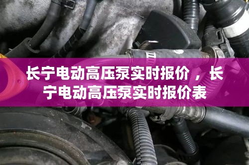 长宁电动高压泵实时报价 ，长宁电动高压泵实时报价表