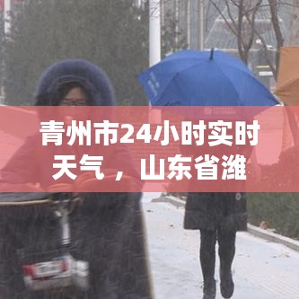 青州市24小时实时天气 ，山东省潍坊市青州市天气24小时