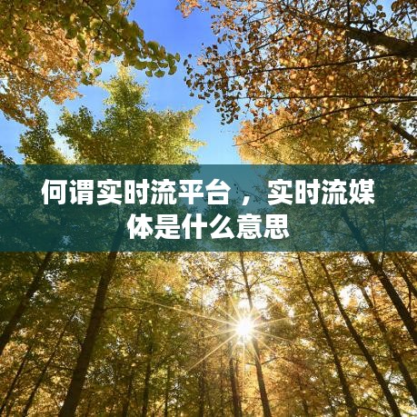 何谓实时流平台 ，实时流媒体是什么意思