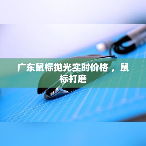 广东鼠标抛光实时价格 ，鼠标打磨