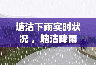 塘沽下雨实时状况 ，塘沽降雨