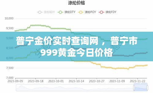 普宁金价实时查询网 ，普宁市999黄金今日价格