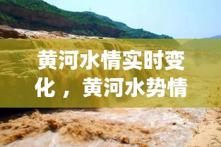 黄河水情实时变化 ，黄河水势情况