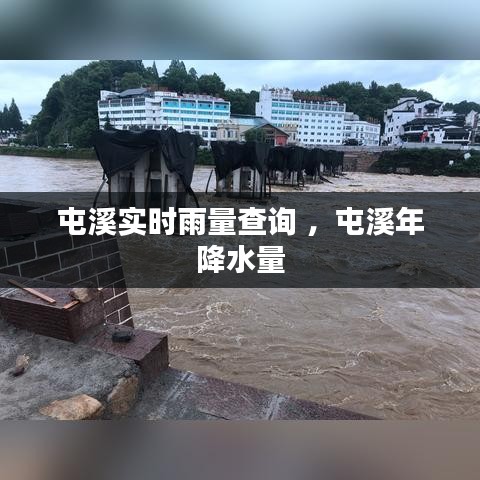 屯溪实时雨量查询 ，屯溪年降水量