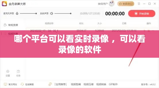 哪个平台可以看实时录像 ，可以看录像的软件
