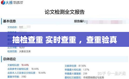 抽检查重 实时查重 ，查重验真