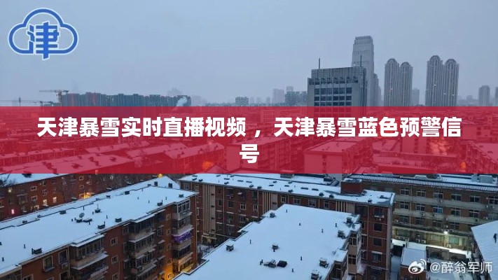 天津暴雪实时直播视频 ，天津暴雪蓝色预警信号