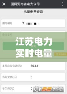江苏电力实时电量查询 ，江苏实时电费怎么查询