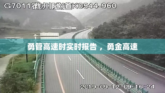 勇管高速时实时报告 ，勇金高速