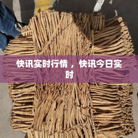 快讯实时行情 ，快讯今日实时